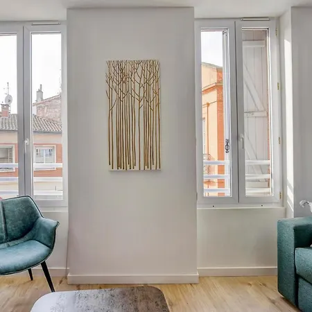 Апартаменты Tolosa Тулуза